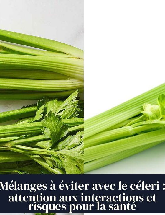 Mélanges à éviter avec le céleri : attention aux interactions et risques pour la santé