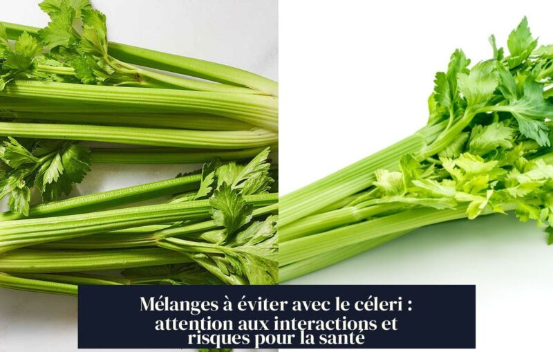 Mélanges à éviter avec le céleri : attention aux interactions et risques pour la santé