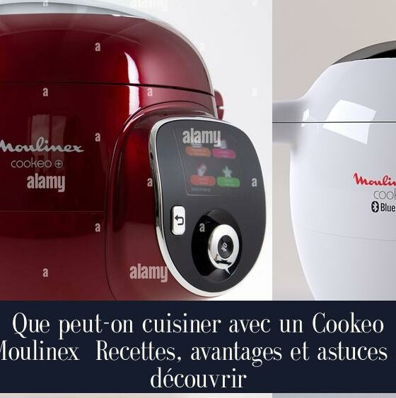 Que peut-on cuisiner avec un Cookeo Moulinex Recettes, avantages et astuces à découvrir