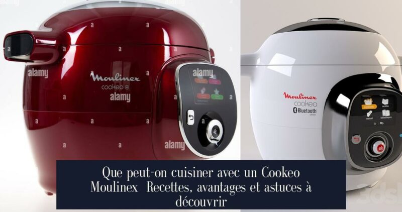 Que peut-on cuisiner avec un Cookeo Moulinex Recettes, avantages et astuces à découvrir