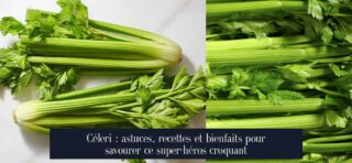 Céleri : astuces, recettes et bienfaits pour savourer ce super-héros croquant