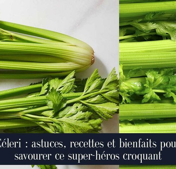 Céleri : astuces, recettes et bienfaits pour savourer ce super-héros croquant