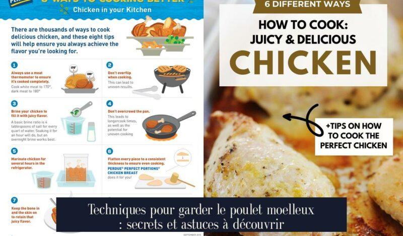 Techniques pour garder le poulet moelleux : secrets et astuces à découvrir