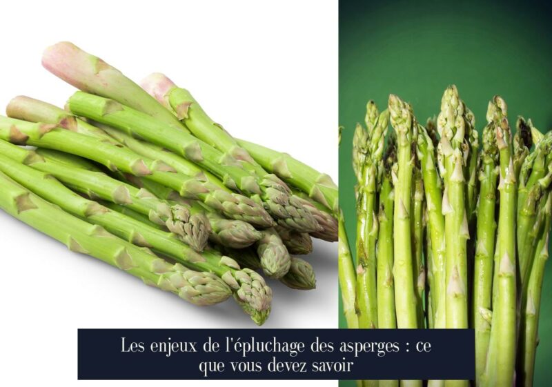 Les enjeux de l'épluchage des asperges : ce que vous devez savoir
