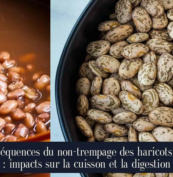 Conséquences du non-trempage des haricots secs : impacts sur la cuisson et la digestion