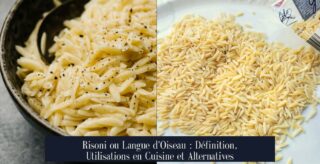 Risoni ou Langue d'Oiseau : Définition, Utilisations en Cuisine et Alternatives