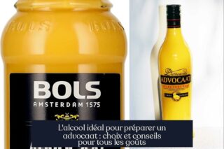 L'alcool idéal pour préparer un advocaat : choix et conseils pour tous les goûts