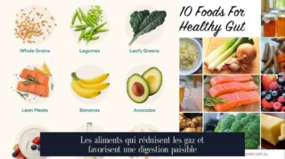 Les aliments qui réduisent les gaz et favorisent une digestion paisible