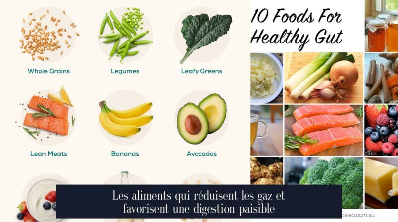 Les aliments qui réduisent les gaz et favorisent une digestion paisible