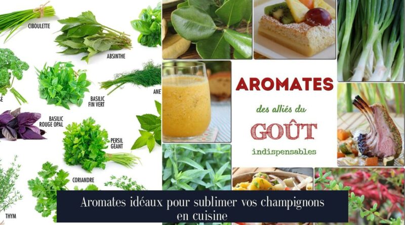 Aromates idéaux pour sublimer vos champignons en cuisine
