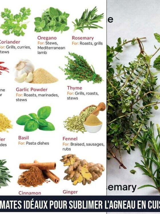 Aromates idéaux pour sublimer l'agneau en cuisine