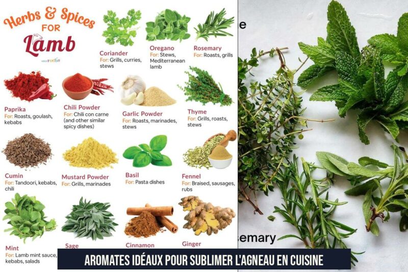 Aromates idéaux pour sublimer l'agneau en cuisine