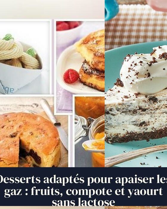 Desserts adaptés pour apaiser les gaz : fruits, compote et yaourt sans lactose
