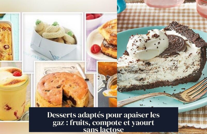 Desserts adaptés pour apaiser les gaz : fruits, compote et yaourt sans lactose