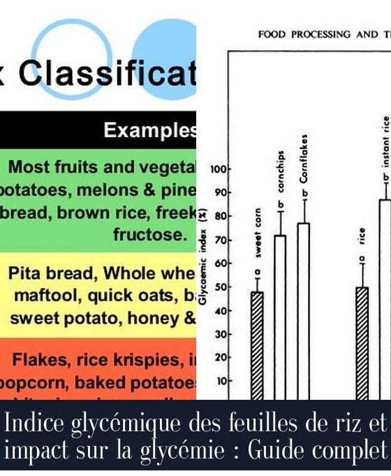 Indice glycémique des feuilles de riz et impact sur la glycémie : Guide complet