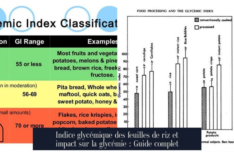 Indice glycémique des feuilles de riz et impact sur la glycémie : Guide complet