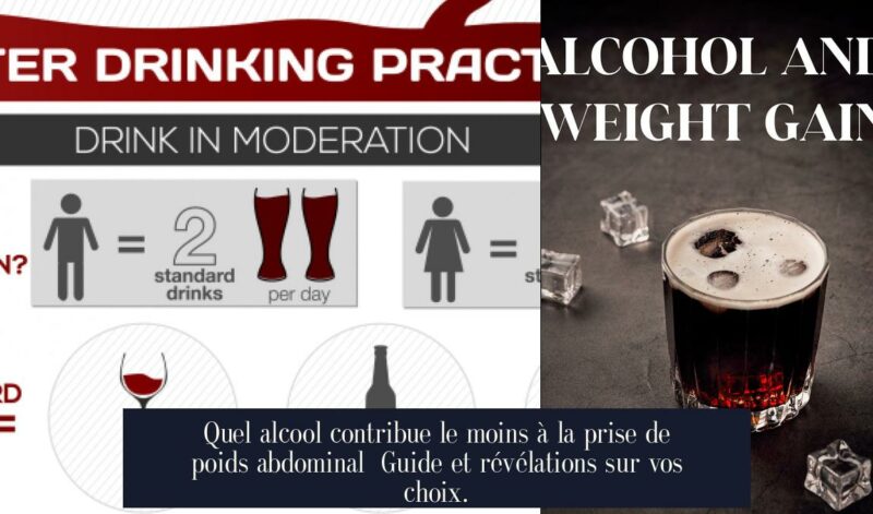Quel alcool contribue le moins à la prise de poids abdominal Guide et révélations sur vos choix.