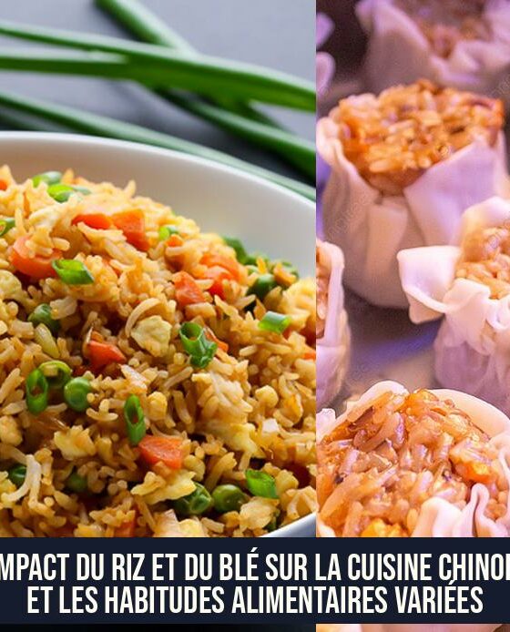 L'impact du riz et du blé sur la cuisine chinoise et les habitudes alimentaires variées