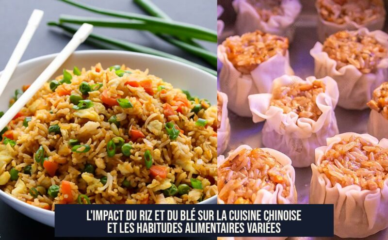 L'impact du riz et du blé sur la cuisine chinoise et les habitudes alimentaires variées