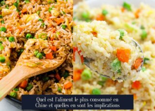 Quel est l'aliment le plus consommé en Chine et quelles en sont les implications