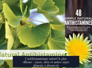 L'antihistaminique naturel le plus efficace : cassis, ortie et autres super aliments à découvrir