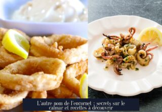 L'autre nom de l'encornet : secrets sur le calmar et recettes à découvrir