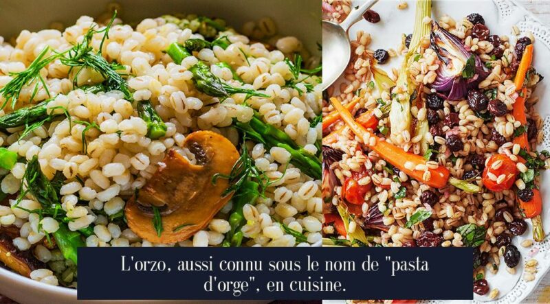 L'orzo, aussi connu sous le nom de "pasta d'orge", en cuisine.