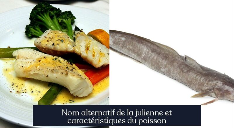 Nom alternatif de la julienne et caractéristiques du poisson