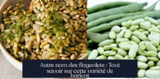 Autre nom des flageolets : Tout savoir sur cette variété de haricot