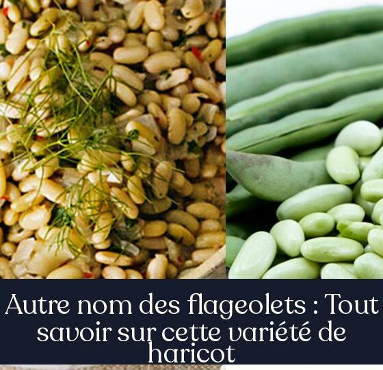 Autre nom des flageolets : Tout savoir sur cette variété de haricot