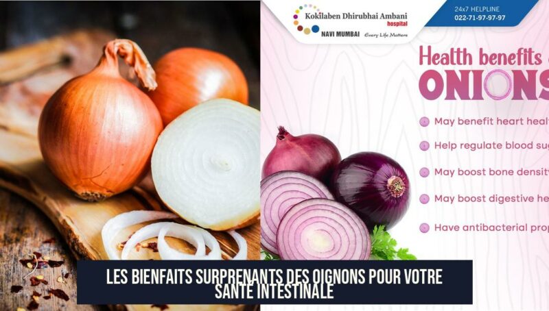 Les bienfaits surprenants des oignons pour votre santé intestinale