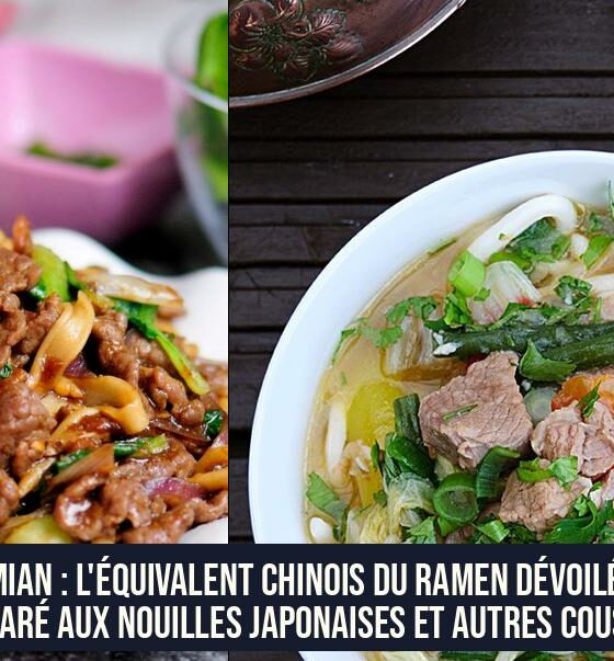 Lamian : L'équivalent chinois du ramen dévoilé et comparé aux nouilles japonaises et autres cousines
