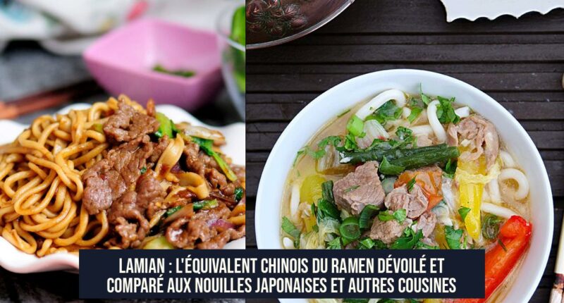 Lamian : L'équivalent chinois du ramen dévoilé et comparé aux nouilles japonaises et autres cousines