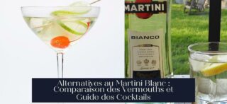 Alternatives au Martini Blanc : Comparaison des Vermouths et Guide des Cocktails