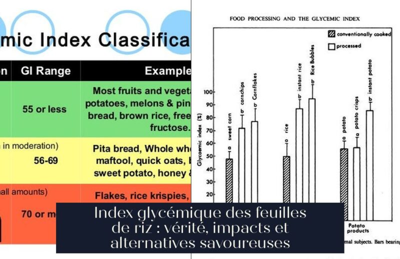 Index glycémique des feuilles de riz : vérité, impacts et alternatives savoureuses