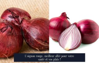 L'oignon rouge, meilleur allié pour votre santé et vos plats !