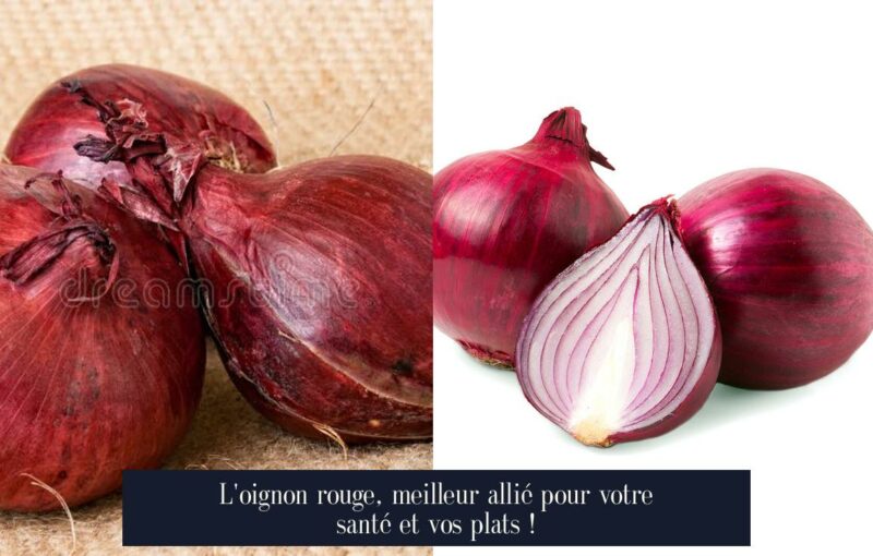 L'oignon rouge, meilleur allié pour votre santé et vos plats !