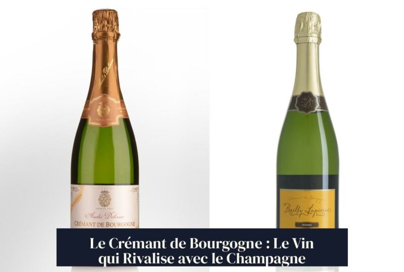 Le Crémant de Bourgogne : Le Vin qui Rivalise avec le Champagne
