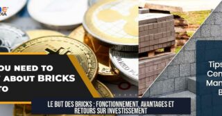 Le but des bricks : fonctionnement, avantages et retours sur investissement