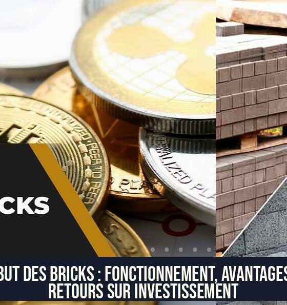 Le but des bricks : fonctionnement, avantages et retours sur investissement