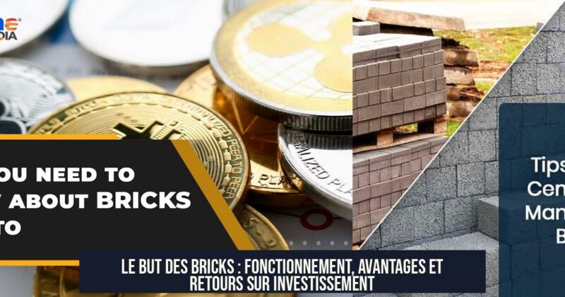 Le but des bricks : fonctionnement, avantages et retours sur investissement