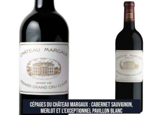 Cépages du Château Margaux : Cabernet Sauvignon, Merlot et l'exceptionnel Pavillon Blanc