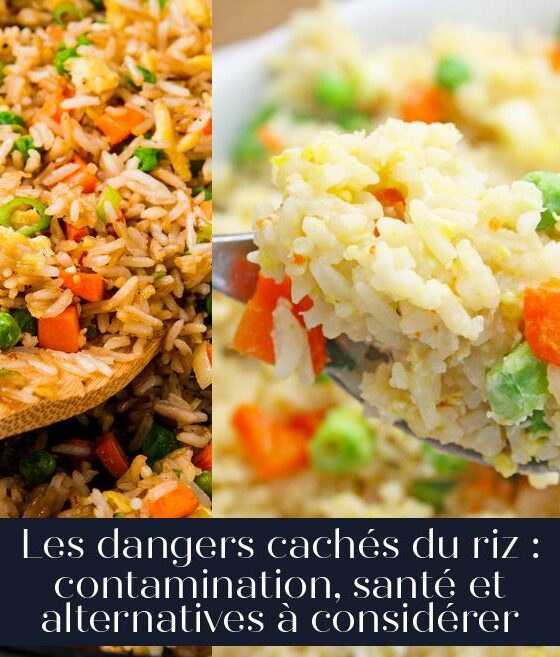 Les dangers cachés du riz : contamination, santé et alternatives à considérer