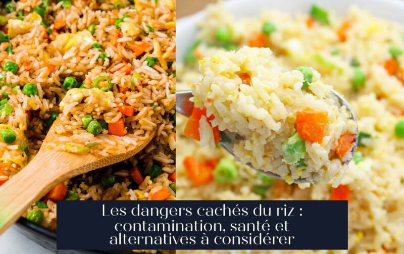 Les dangers cachés du riz : contamination, santé et alternatives à considérer