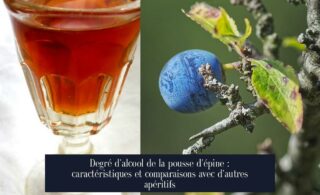 Degré d'alcool de la pousse d'épine : caractéristiques et comparaisons avec d'autres apéritifs