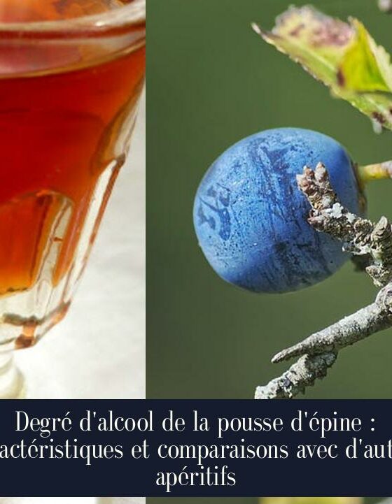 Degré d'alcool de la pousse d'épine : caractéristiques et comparaisons avec d'autres apéritifs