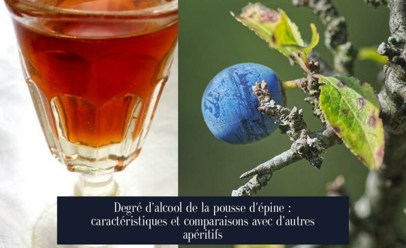 Degré d'alcool de la pousse d'épine : caractéristiques et comparaisons avec d'autres apéritifs