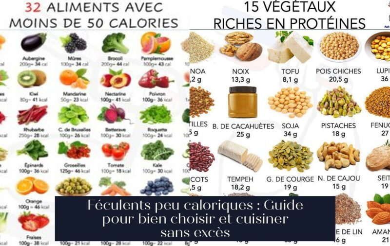 Féculents peu caloriques : Guide pour bien choisir et cuisiner sans excès