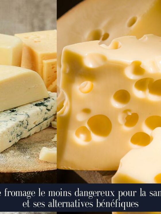 Le fromage le moins dangereux pour la santé et ses alternatives bénéfiques