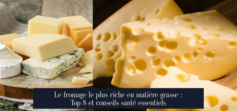 Le fromage le plus riche en matière grasse : Top 8 et conseils santé essentiels